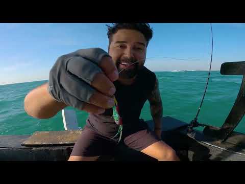 PESCANDO VÁRIOS PEIXES - Preparando com toda Família