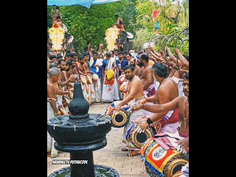 പറക്കോട്ട്കാവ് താലപൊലി :- പതികാലം മദ്ദള തീര് - ഏലൂർ അരുൺദേവ് വാര്യർ #panchavadyam #concert #thimila.