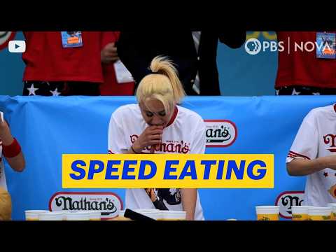 What Happens to Your Body During a Speed Eating Competition? | NOVA | PBS