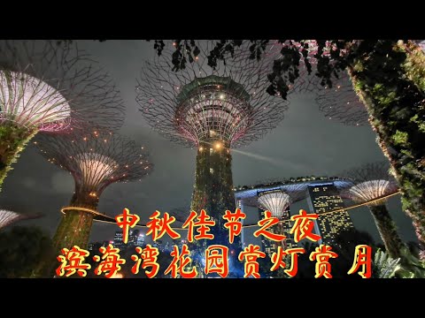 中秋佳节之夜 滨海湾花园赏灯赏月