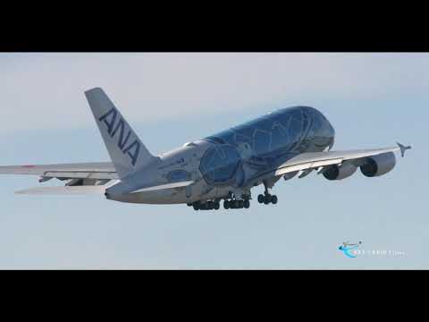 "ANA FLYING HONU、空の日にツアー客を乗せて新千歳から成田へ出発!! " All Nippon Airways Airbus A380-841 JA381A