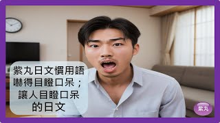 紫丸日文慣用語 -嚇得目瞪口呆；讓人目瞪口呆 的日文