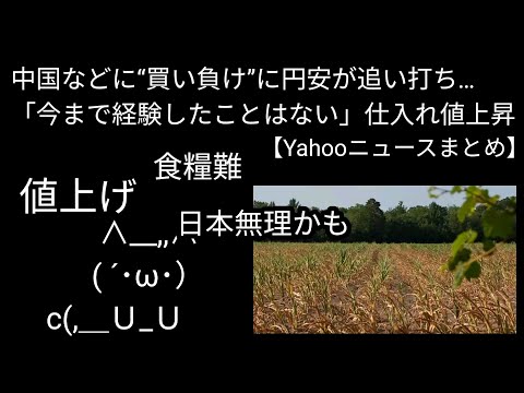【悲報】中国に買い負けて日本もう食糧がない｜インフレ食糧危機待ったなし【バブニュース】