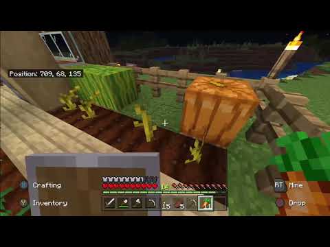 MINECRAFT LET'S PLAY EP. 4