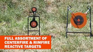 Trainer Targets for Rimfire Rifle and Centerfire Handgun