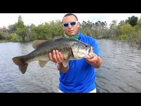 Monster Bass - BYA Fishing