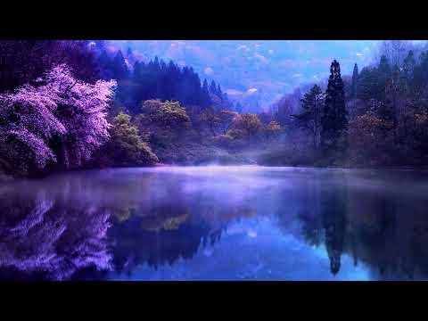 Meditation with Piano and Nature | Harmony for the Soul #relaxingmusic #meditation  #reikisanador