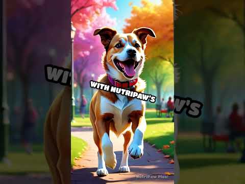 Bark to Basics: NutriPaw's Tail-Wagging Treats Revolution!