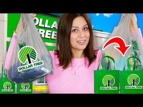 I Bought New Dollar Tree Products YOU Haven't Seen Before