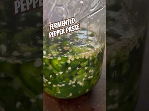 Today on the Homestead: Spicing It Up | Creating Homemade Fermented Pepper Paste Part 1  #shorts