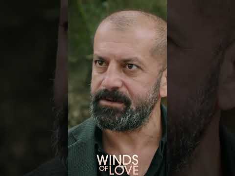 Halil, Kazım'ın peşinde | #windsoflove #shorts #ruzgarlitepe