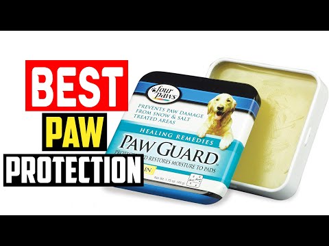 ✅Top 5 Best Paw Protection Waxes in 2024