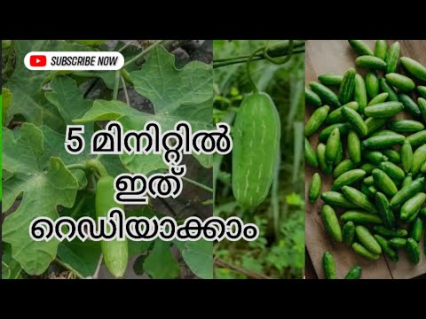 #kovakka mezhukkupuratti #Ivy gourd #Tindora #Coccinia #കോവക്ക മെഴുക്കുപുരട്ടി kerala style