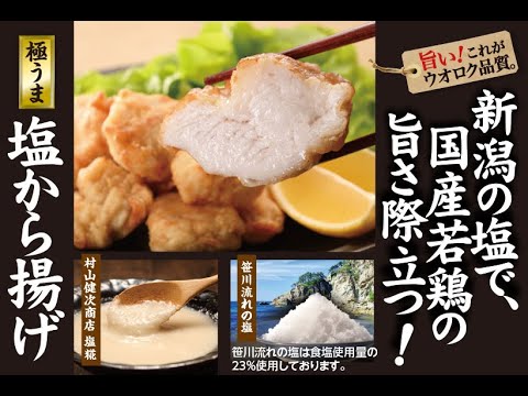 【ウオロク品質】極うま塩から揚げ