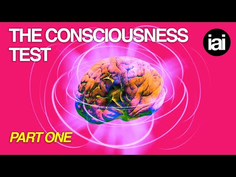 The consciousness test PART 1 | Sabine Hossenfelder, Yoshua Bengio, Hilary Lawson, and Nick Lane