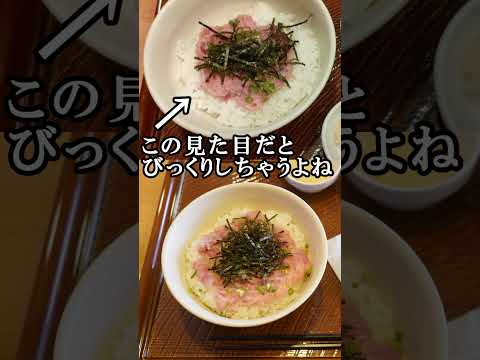 【リベンジ】前回見た目がやばかった『ねぎとろ丼』をまた注文してみた【ガスト】