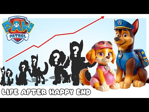 PAW Patrol 2024 | Life After Happy Ending | Cartoon Wow