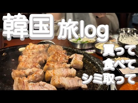 【韓国旅log】妹の韓国あっちこっち／グルメ／シミ取り