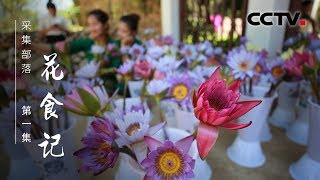 《采集部落》第一集 花食记 | CCTV纪录