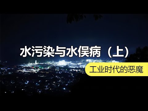 小镇的猫为何突然发疯？| 化学有故事2