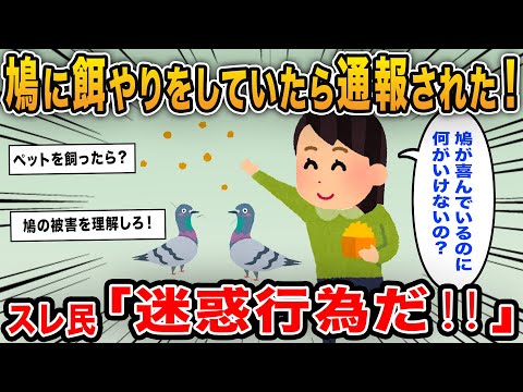 【報告者キチ】「鳩に餌やりをしていたら通報された！鳩が喜んでいるのに何が問題なの？」→迷惑行為を止めないキチが登場！