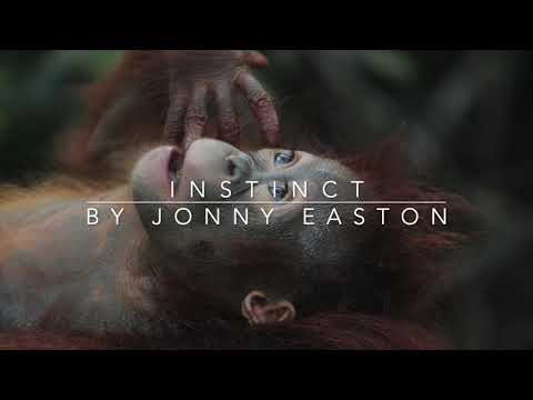 Instinct - Wildlife Music - Royalty Free