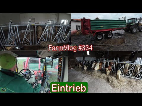 Farmvlog #334: Rinder kommen in den Stall | Miststreuen