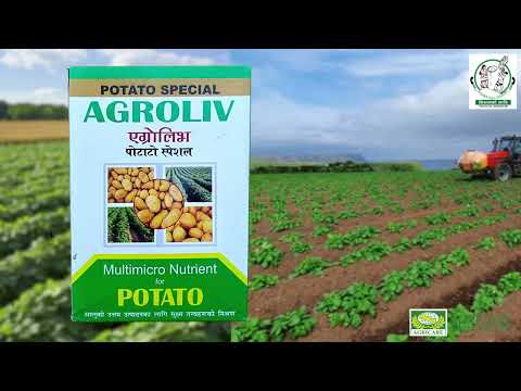 Potato Special  #seed #agriculture #Fertilizer #organicfarming #nepal #geet #nepalisong