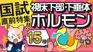 視床下部ホルモン／下垂体ホルモン～全15種類を解説～