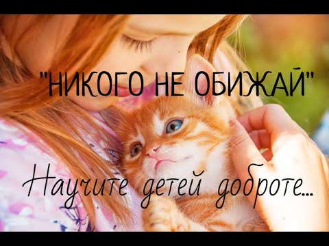 "Никого не обижай"Научите детей доброте