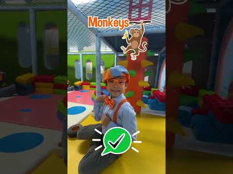 Toddlers Meekah and Blippi are on a fruity mission... Kids' games #playground #blippi #meekah