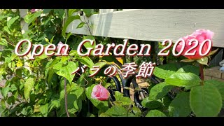 【ｸﾞﾚｲｽｵﾌﾞｶﾞｰﾃﾞﾝ】Open Garden 2020【バラの季節】