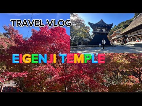 beautiful autumn leaves  【永源寺🍁紅葉】【永源寺温泉】Enjoy the Autumn Season