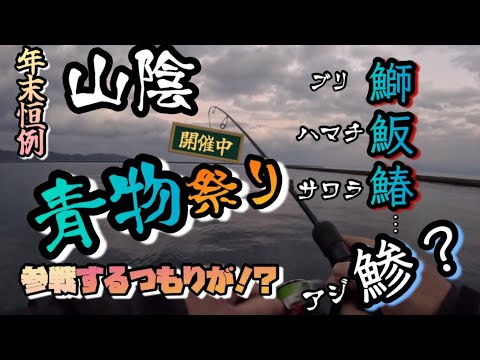 【山陰】青物祭り開催中！？そりゃ行くっきゃないっしょ！！【釣り納め】 #津山ベース