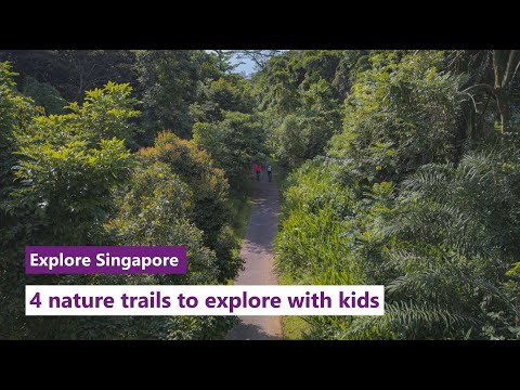 Explore Singapore: 4 nature trails to explore with kids