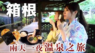 [CC: Eng Sub] Travel with me to HAKONE Japan 🇯🇵 Private Onsen and Ryokan🚄♨️