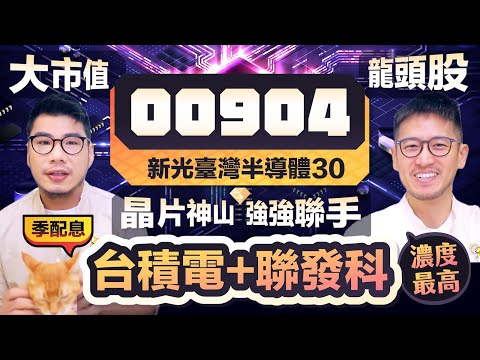 00904新光臺灣半導體30 大市值排行策略發威！台積電+聯發科占比最高 佈局半導體復甦行情首選 | 柴鼠ETF