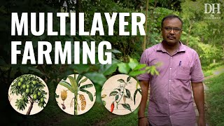 How multilayer farming made this farm profitable