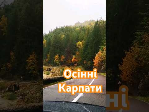 🍁Осінні Карпати🍁 #carpathian #карпати #яремче #микуличин #nature #shorts #bukovel