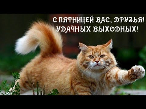 С ПЯТНИЦЕЙ! ЧУДЕСНЫХ ВЫХОДНЫХ! ПРИКОЛЬНОЕ ПОЗДРАВЛЕНИЕ С ПЯТНИЦЕЙ