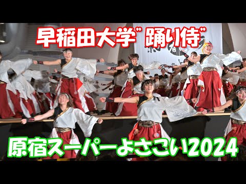 【4K60p】原宿スーパーよさこい2024 ⑩「早稲田大学”踊り侍”」～学生よさこいプロジェクト交流ステージ～