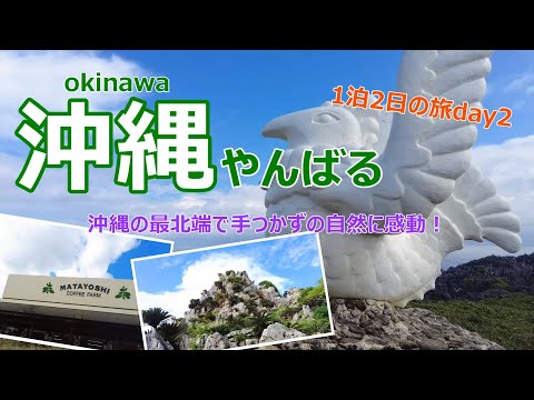 【沖縄旅行vlog】1泊2日でもこんなに回れる♪part2 　やんばる編［沖縄の旅day2］