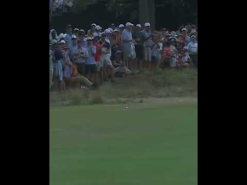 Thinking back to  @brysondechambeau at Pinehurst No. 2 🔥 @usga #livgolf #shorts