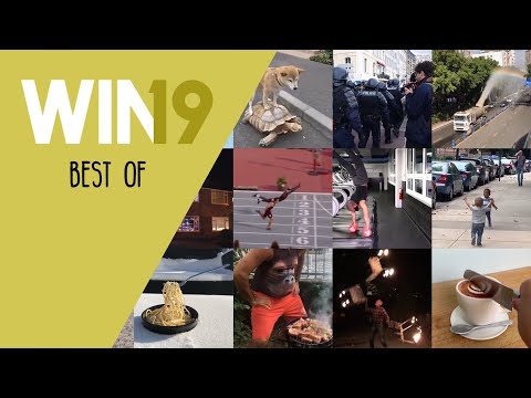 WIN Compilation Best of 2019 (Videos of the Year)