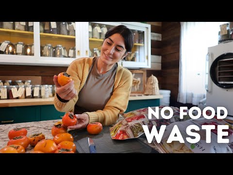 Freeze Drying Food = No Waste!