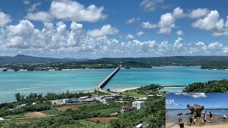 沖縄 2024.7.16~22 ⑤  古宇利島、ハートロック、オーシャンタワー、備瀬のフクキ並木、ペンションサンセットビーチ(今帰仁村今泊)、ヤドカリの行進