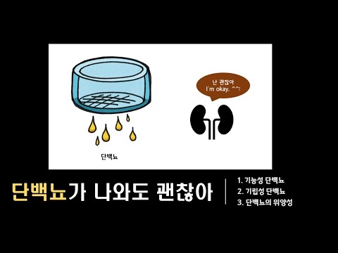 단백뇨 (1) : 단백뇨가 나와도 괜찮아 :  일시적인 단백뇨 : 기능성 생리적 기립성 단백뇨