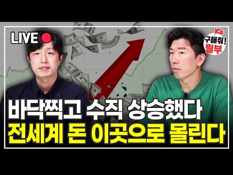 13일 연속 상승 릴레이 펼치는 '이 주식' 전 세계 돈 끌어모으고 있다 (구해줘월부 주식상담)