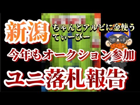 【悲しみの落札劇】今年もユニフォームオークションに参加して落札した報告【アルビレックス新潟/albirex/オークション】