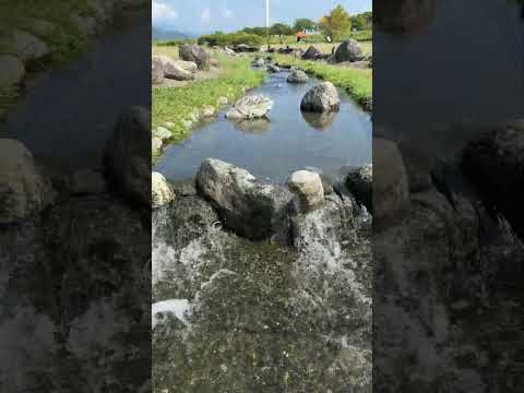 水遊び 安倍川緑地田町親水公園